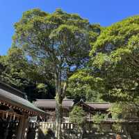 【島根】パワースポット美保神社