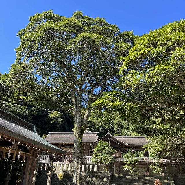 【島根】パワースポット美保神社