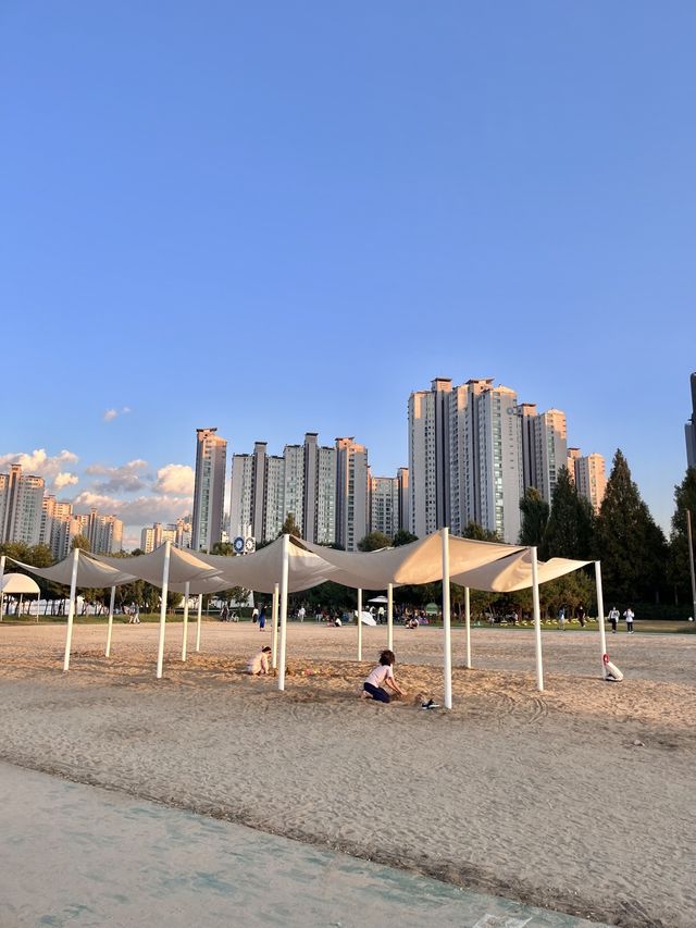한적한 한강 피크닉이 하고 싶다면, 잠실새내 한강🧺