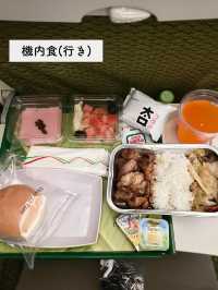 【搭乗レポ】成田ー仁川 エチオピア航空搭乗レポ✈️