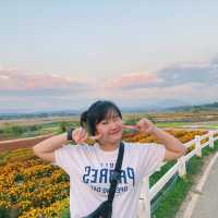 พักผ่อนหย่อยใจ ที่ไร่ห่มฟ้า