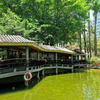 荃灣賽馬會德華公園🏯🌳秋意的寧靜與美麗😍🌺！