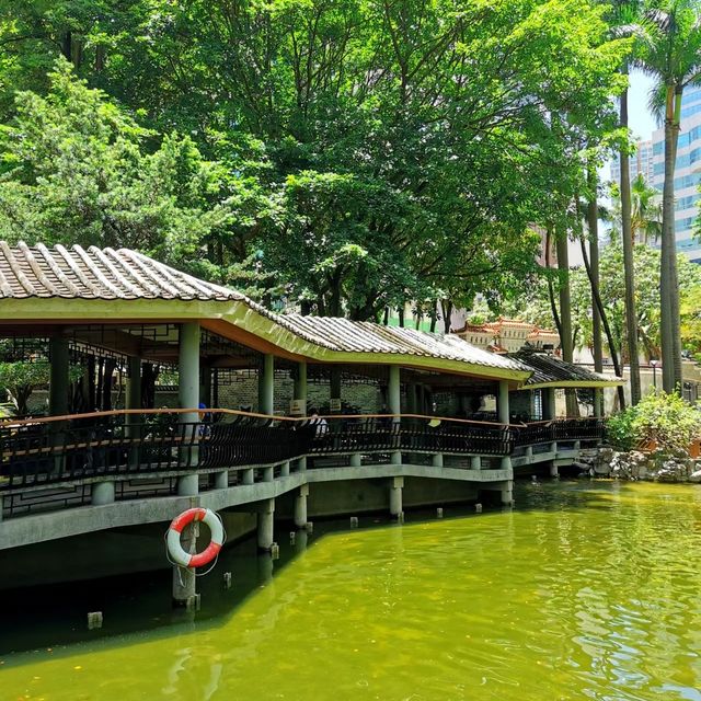 荃灣賽馬會德華公園🏯🌳秋意的寧靜與美麗😍🌺！