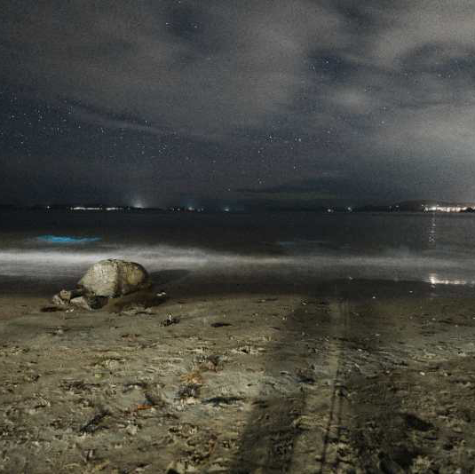 霍巴特/邂逅星空