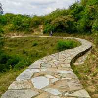 🏞️👣 元荃古道～征服山徑🏞️👣🌳