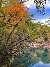 人間仙境中的童話世界-九寨溝🏞️