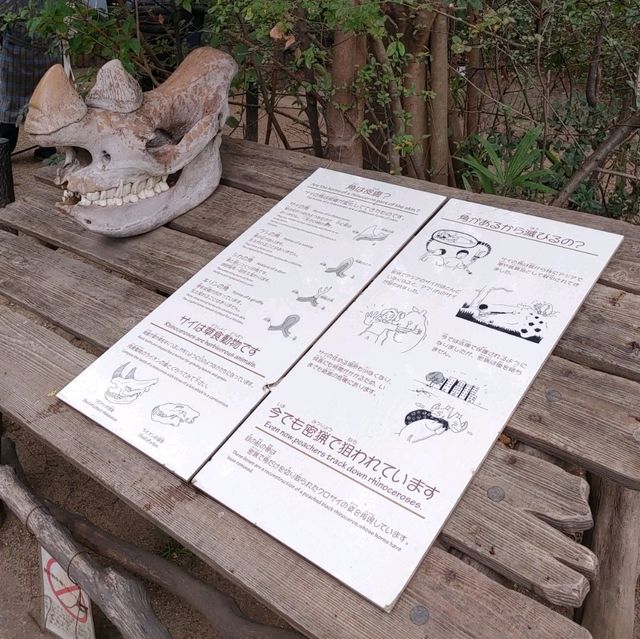 自動販売機にゾウの銅像！岩場にお正月飾り！