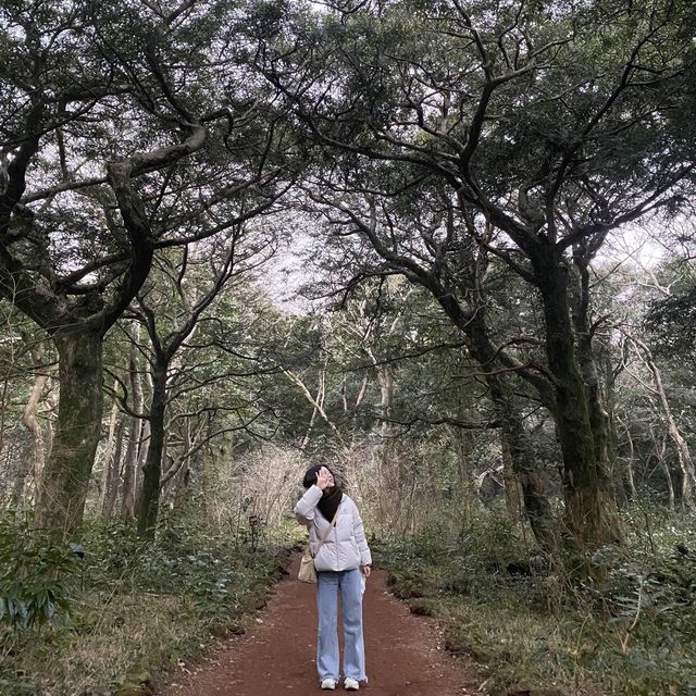 영화 “아바타”가 생각나는 거대한 숲, 비자림 🌳