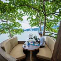 Tree Pods , Afternoon Tea on Tree 