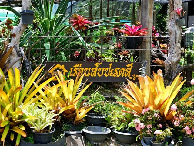 Oasis Handmade Cafe พังงา