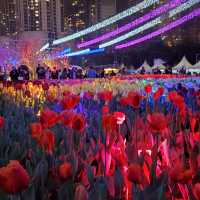 香港花卉展覽2023 - 夜