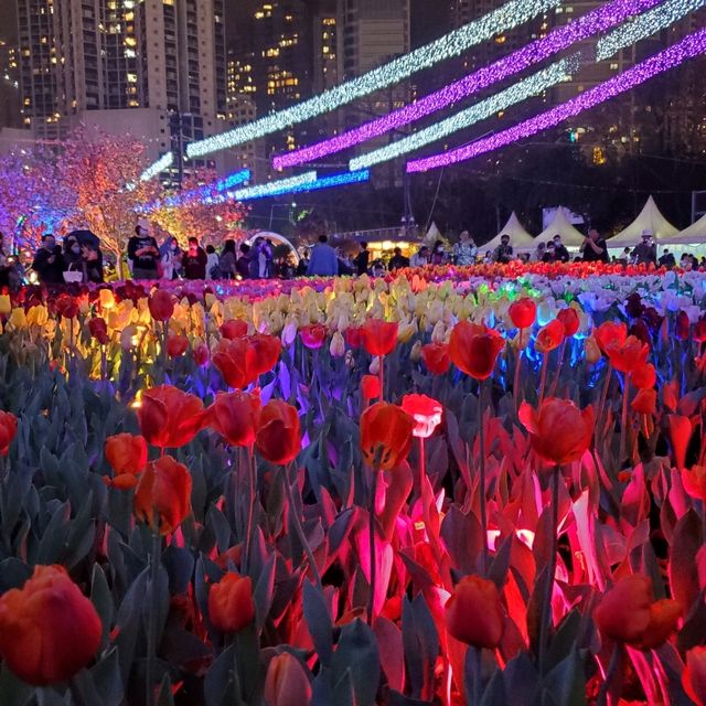 香港花卉展覽2023 - 夜
