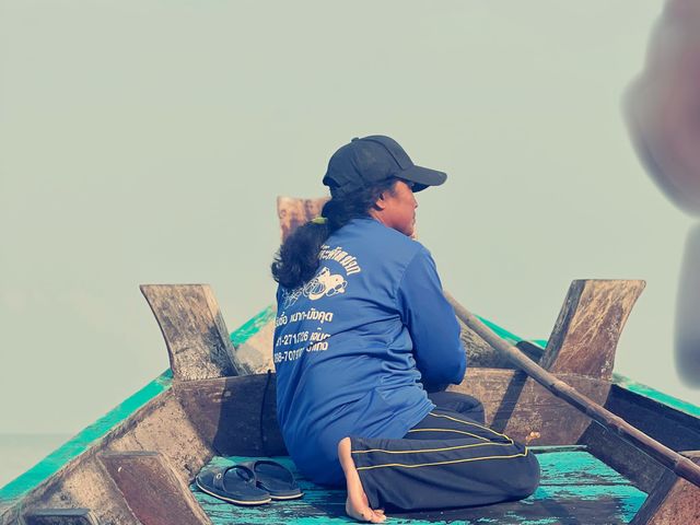 Pink Dolphins at Khanom, Nakhon Si Thammarat 