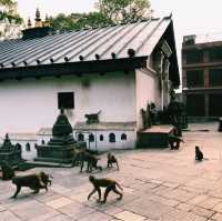カトマンズのSwoyambhu Mahachaitya