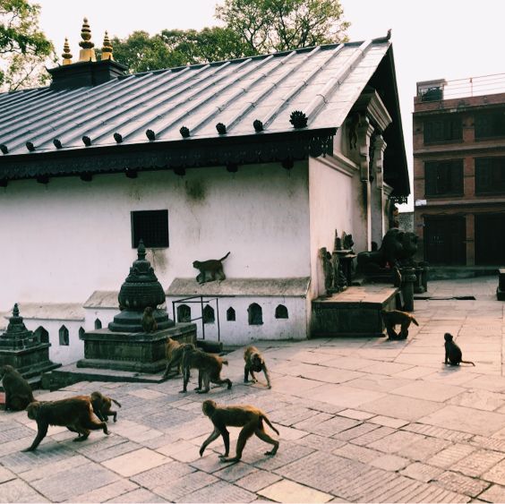 カトマンズのSwoyambhu Mahachaitya