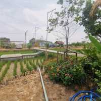 หลบร้อน​ มาผ่อนคลายที่ฟาร์มคาเฟ่​ บุรีรัมย์