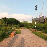 บรรยากาศดีๆ ที่ อุทยาน ๑๐๐ ปี จุฬาฯ 🌳🌷