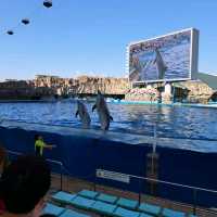 【日本　名古屋港水族館】
