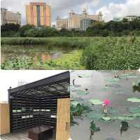 龍環葡韻🏖發現天空之鏡🤳