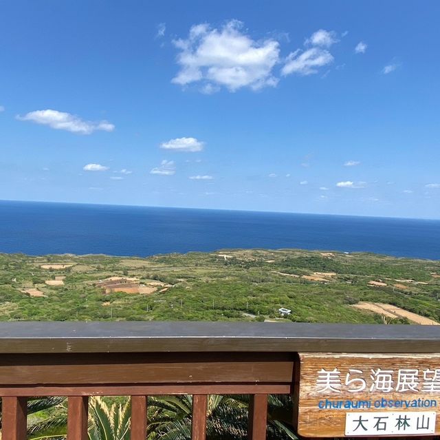 【沖縄県】やんばる世界自然遺産　大石林山！