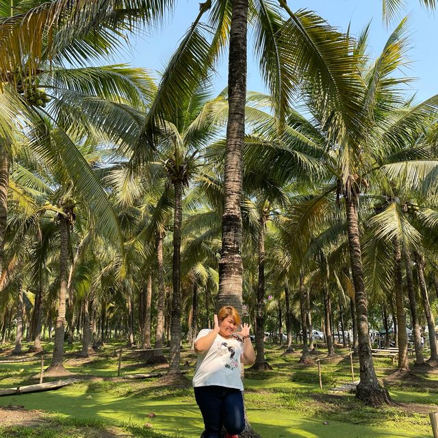 ขึ้นดอย ลุยคาเฟ่ หาหมอก แวะสันเขื่อน ณ เชียงใหม่