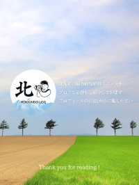 【大空町/メルヘンの丘】北海道の絶景ログVol.1
