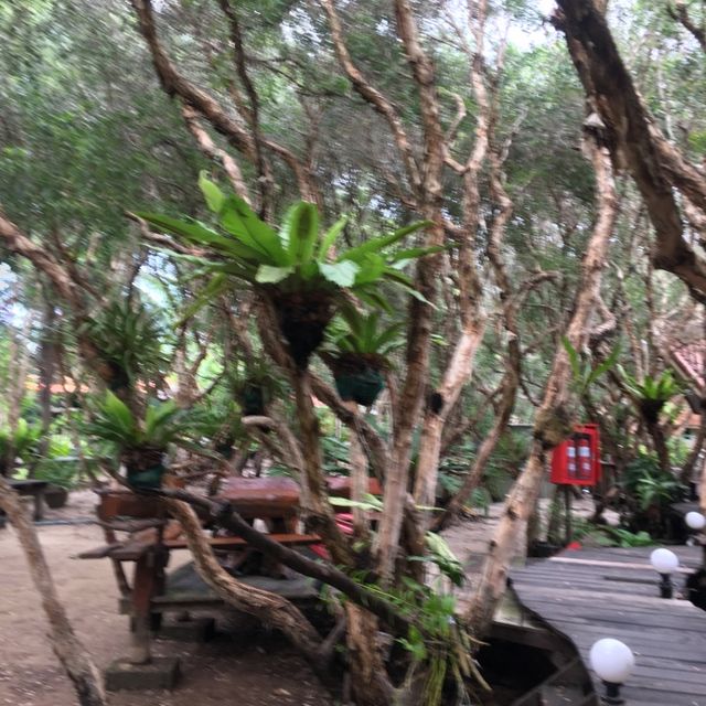 Relaxing Resort