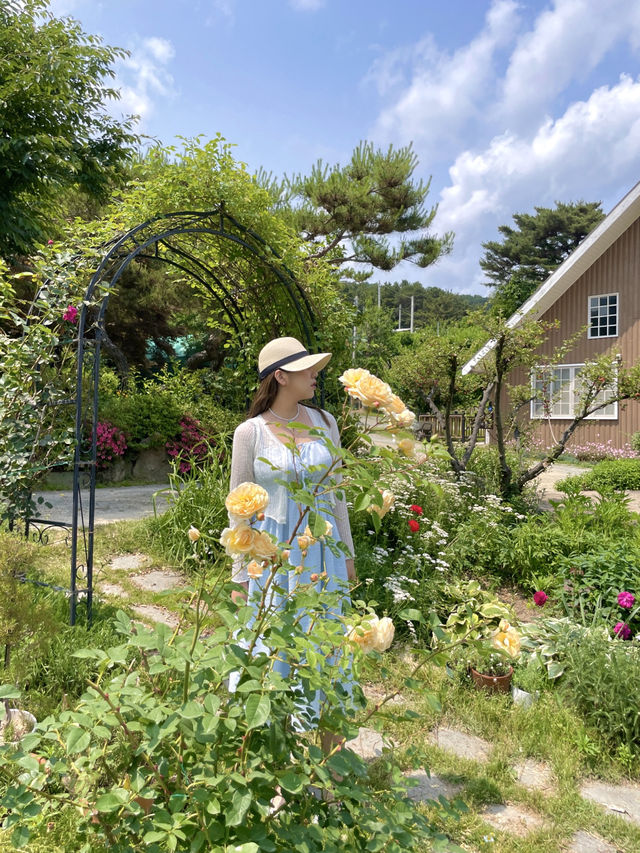유럽산장같은 초록색지붕 우드하우스와 꽃밭정원 🏡