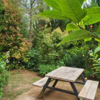 พักผ่อนท่ามกลางธรรมชาติที่ The birder's lodge 