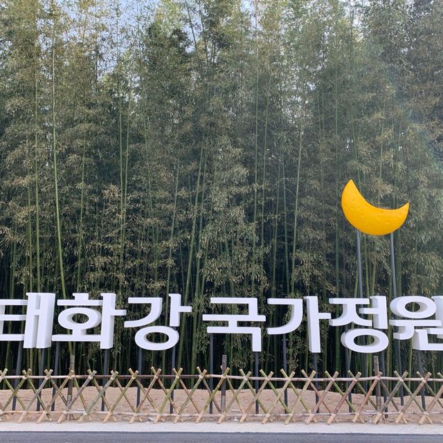 🌙如果可以試下夜遊十里竹林就好喇🎋