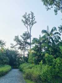 Jurong Lake Gardens