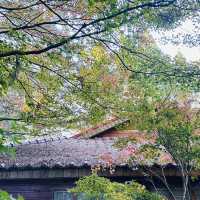 Fushoushan Farm