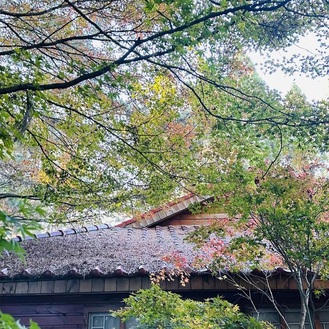 Fushoushan Farm