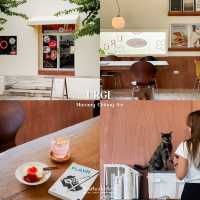 ลแจกพิกัดจัดเต็ม 19 ร้าน ในตัวเมืองจังหวัดเชียงราย