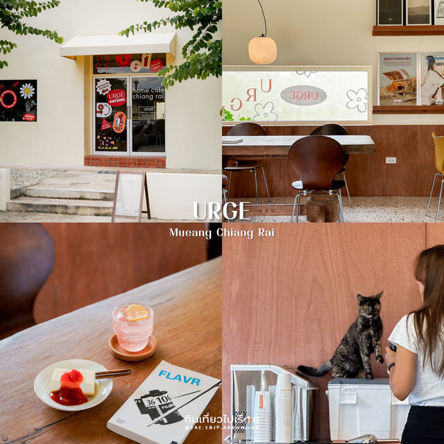 ลแจกพิกัดจัดเต็ม 19 ร้าน ในตัวเมืองจังหวัดเชียงราย