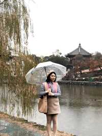 日本奈良興福寺賞紅葉🍁
