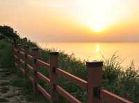 일출맛집! 수선화도 예쁜 오륙도해맞이공원🌅