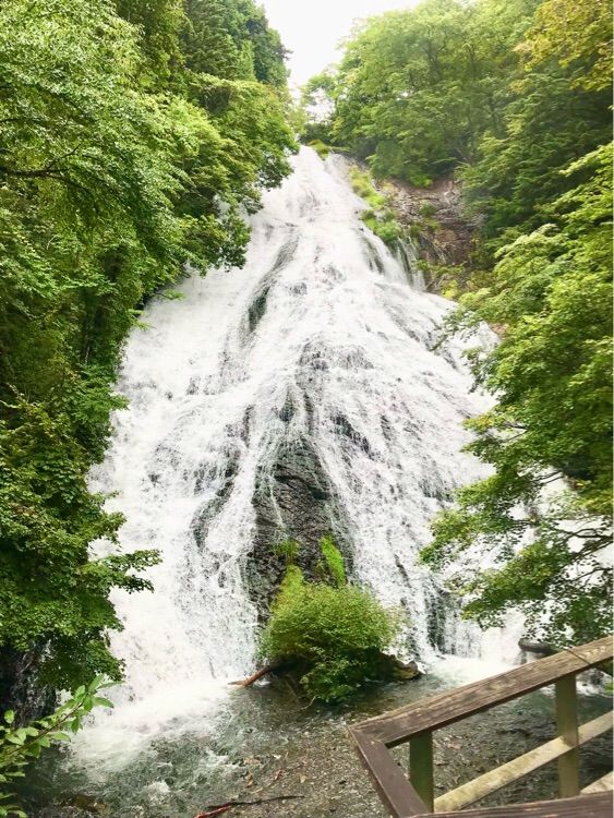 日光の大迫力の滝を間近で鑑賞できる【湯滝】