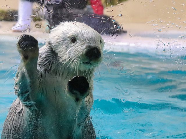 【三重県】飼育数日本一の水族館「鳥羽水族館」