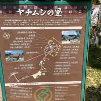 【沖縄県】やちむんの里でうつわ探しの旅！