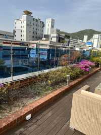 【釜山ホテル】BIFF広場近くの立地抜群ホテル🏨