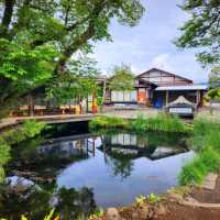  하코네국립공원 후지산과  HAKONE GEOMUSEUM 