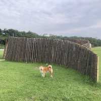 月眉人工濕地