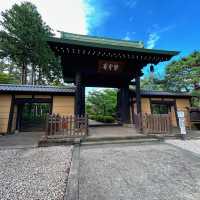 【東京】豪徳寺の招き猫