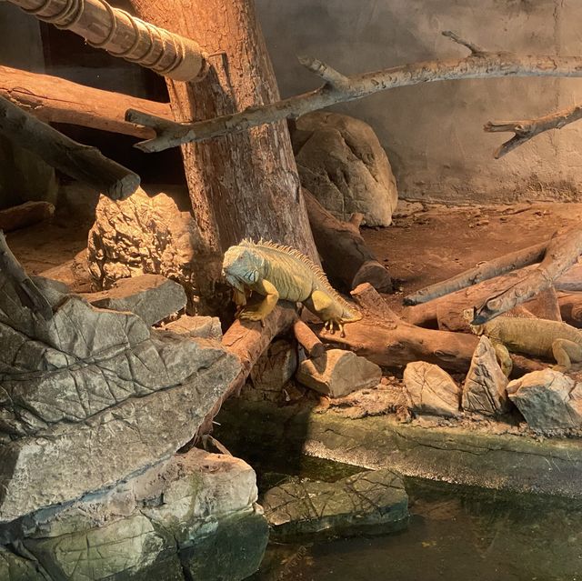 包羅萬有的重慶動物園