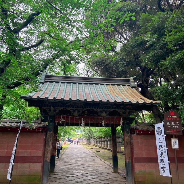 【上野】上野東照宮