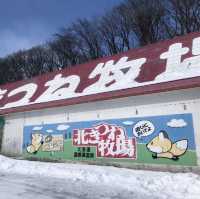 北海道北見🦊近距離親親狐狸牧場