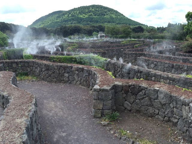 大人小朋友都啱玩濟洲Mazeland