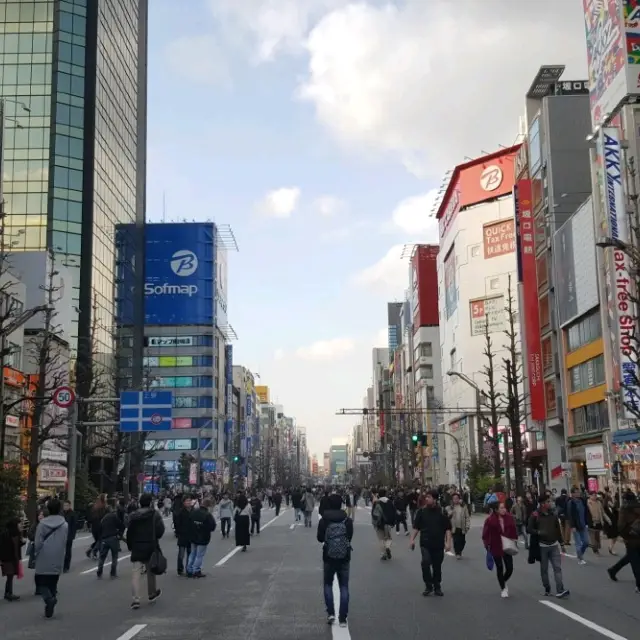 The Mecca of Otaku, Akihabara