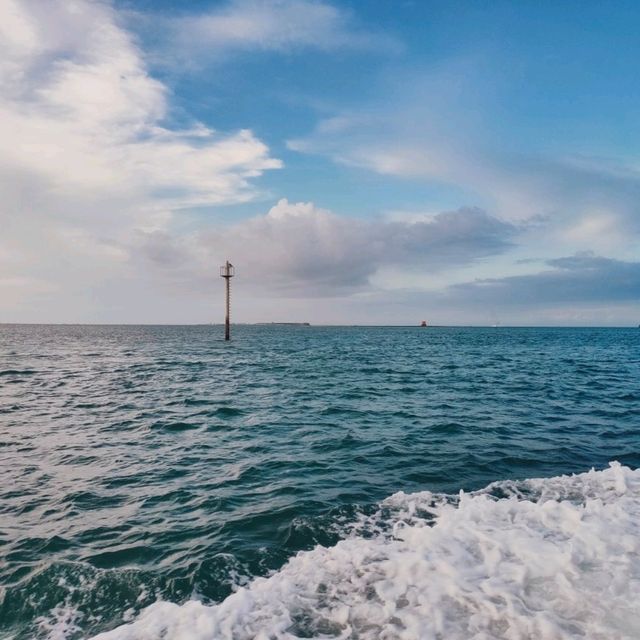 澎湖夜釣小管海上巡覽